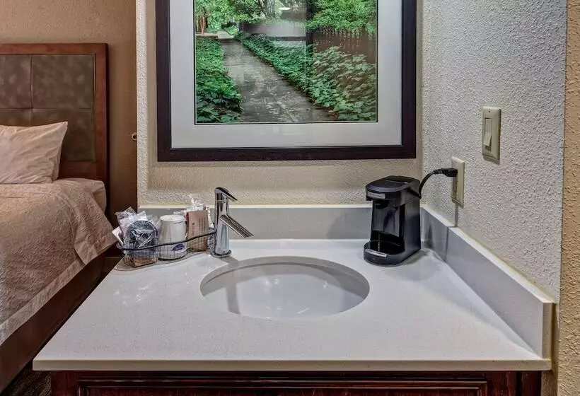 身障者適用スイートルーム, Hampton Inn Newberry Opera House