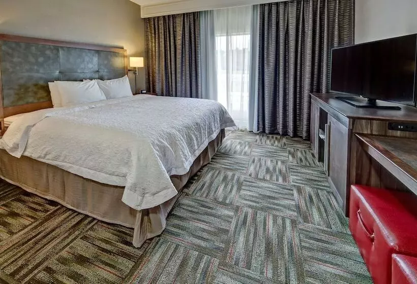身障者適用スイートルーム, Hampton Inn Newberry Opera House