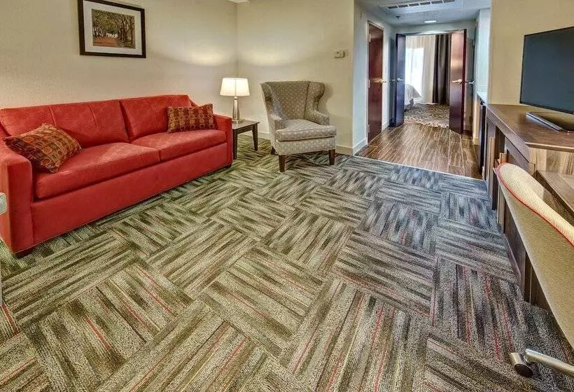 身障者適用スイートルーム, Hampton Inn Newberry Opera House