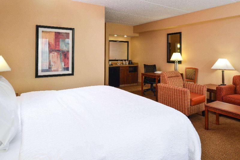 キングサイドベッドのスタンダードワンルーム, Hampton Inn & Suites Springboro/dayton Area South