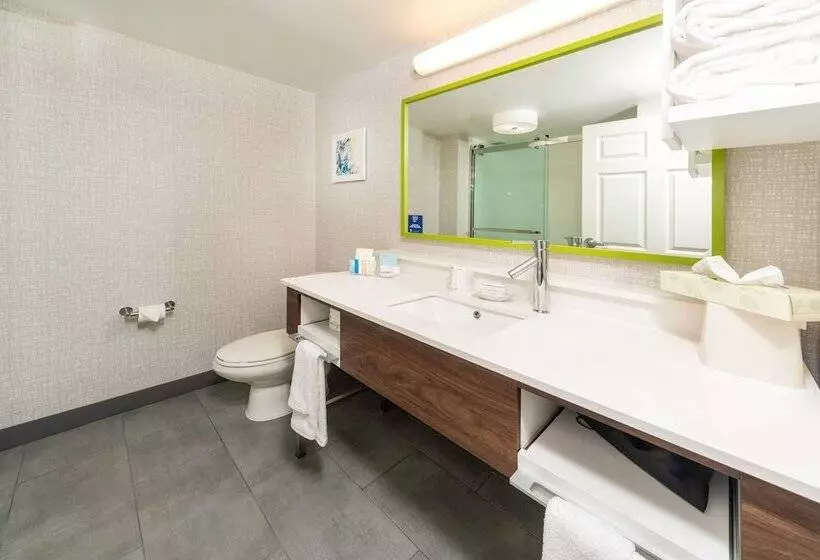 スイート, Hampton Inn Swedesboro Philadelphia