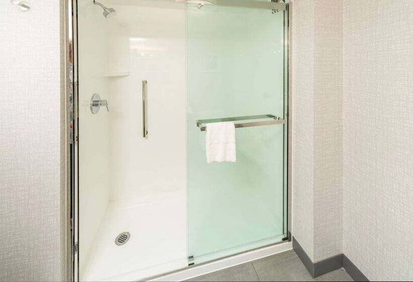 جناح, Hampton Inn Swedesboro Philadelphia