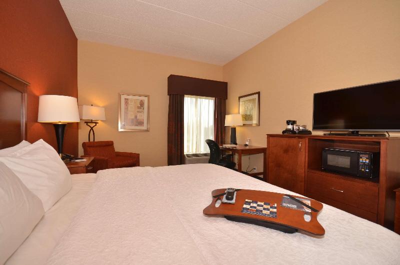 스탠다드 룸 킹사이즈 침대, Hampton Inn Troy