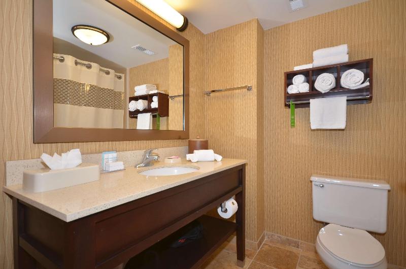 스탠다드 룸 킹사이즈 침대, Hampton Inn Troy