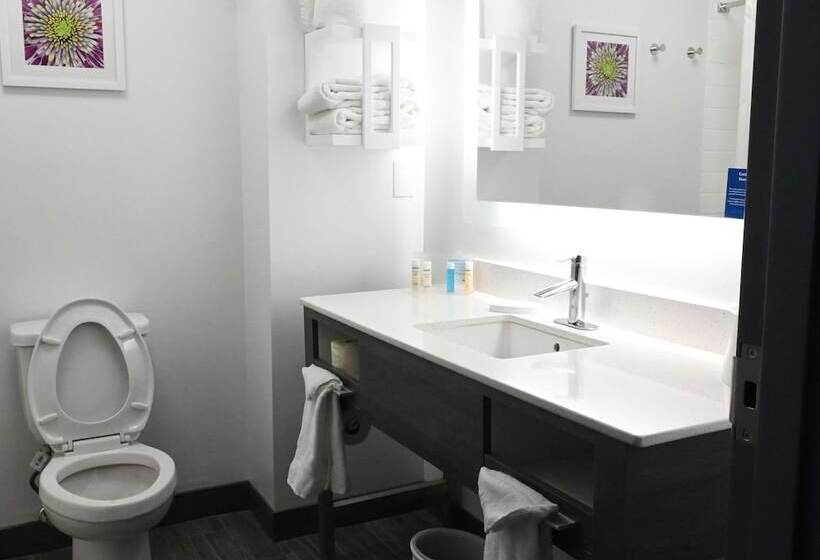 غرفة قياسية, Hampton Inn Valdosta/lake Park Area