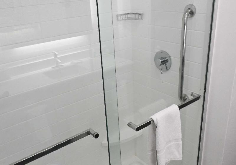 غرفة قياسية سرير كينج, Hampton Inn Valdosta/lake Park Area