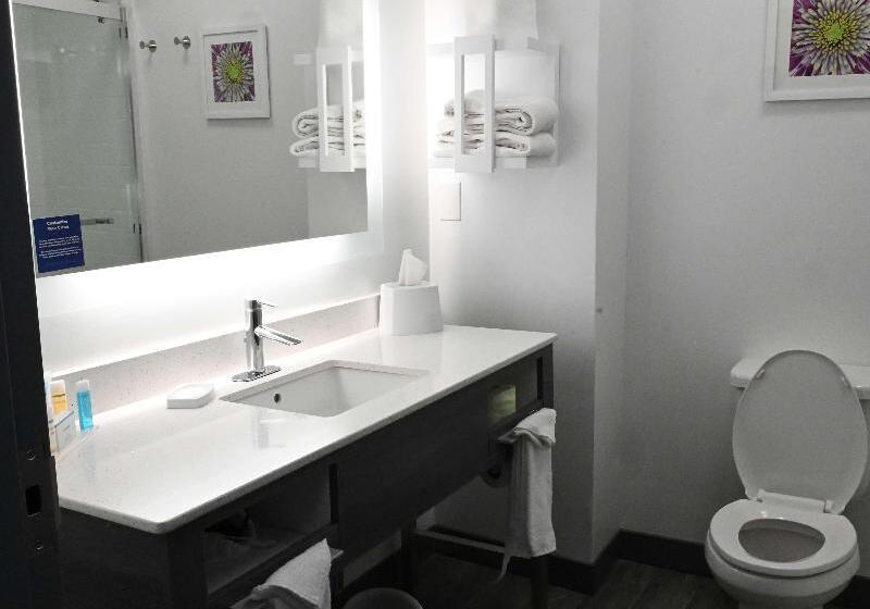 غرفة قياسية سرير كينج, Hampton Inn Valdosta/lake Park Area