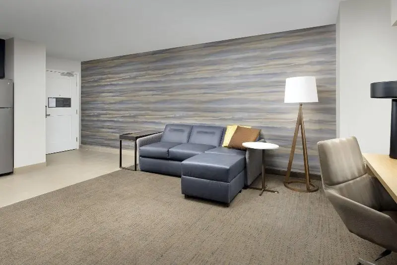 سوئیت با تخت بزرگ, Residence Inn By Marriott Lubbock University Area