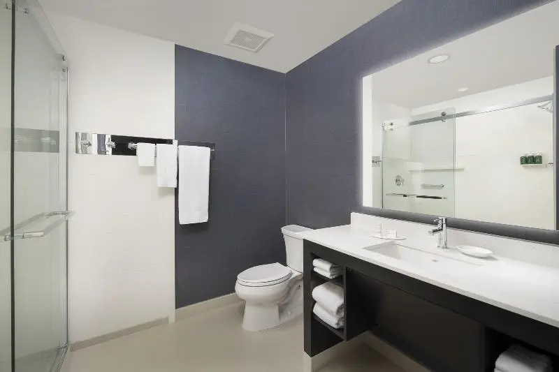 سوئیت با تخت بزرگ, Residence Inn By Marriott Lubbock University Area
