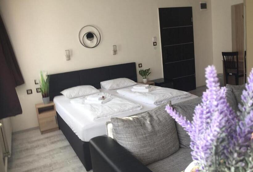 デラックスルーム, Vulkán Wellness Panzió