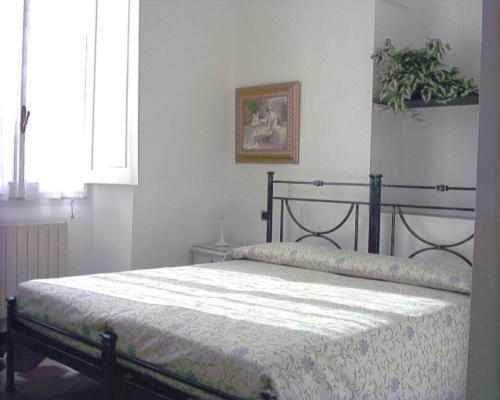 Номер Стандарт, Palace