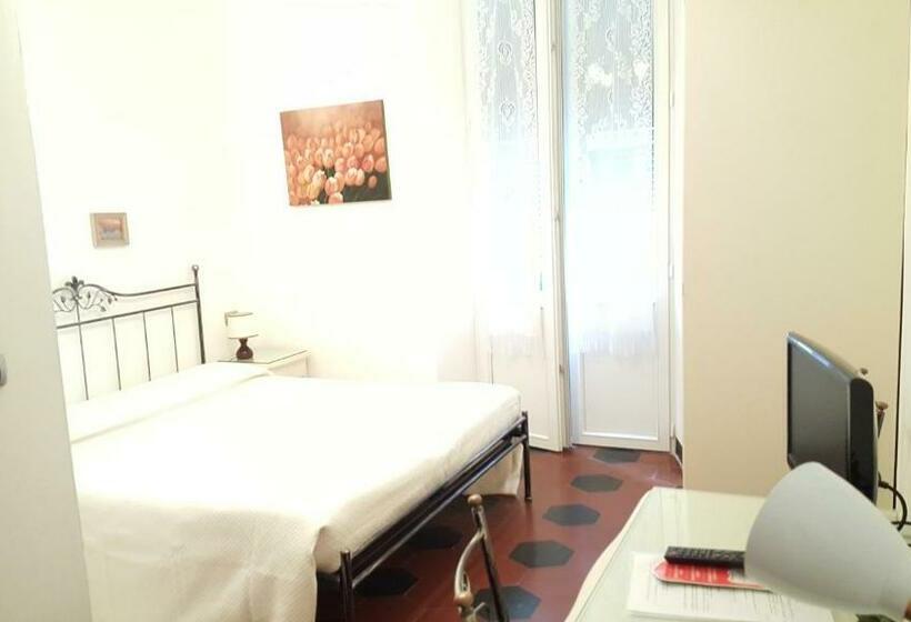 غرفة قياسية, Palace