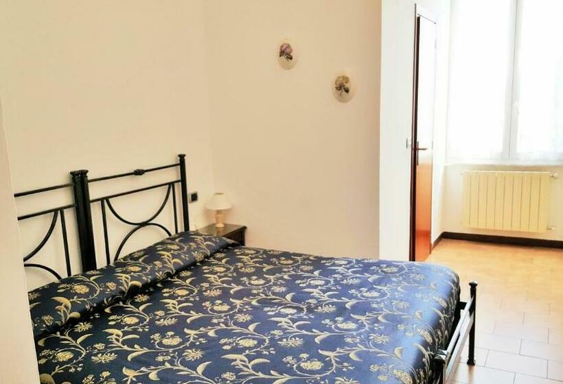 スタンダードルーム, Palace