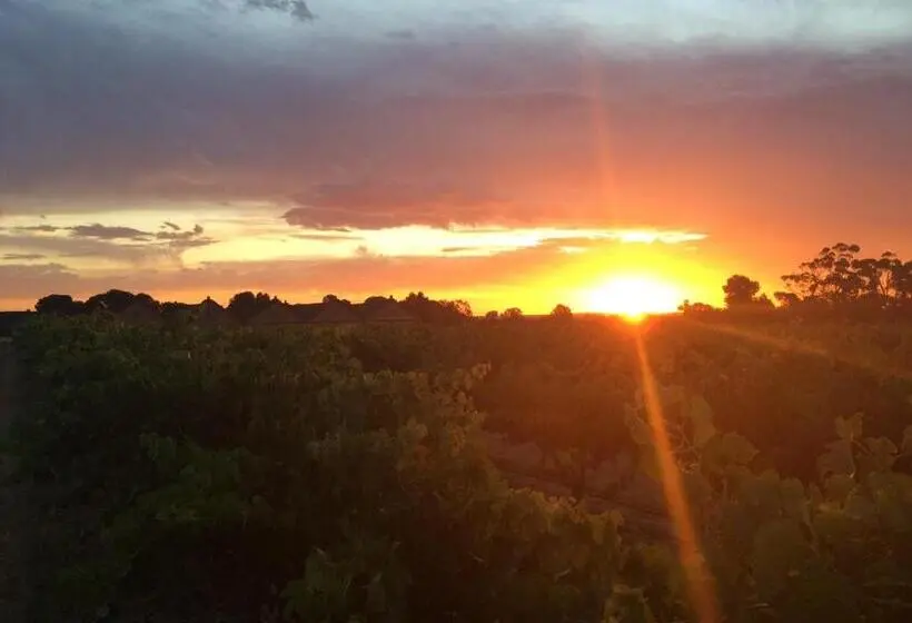 4ベッドルームハウス, Barossa Vineyard Guesthouse