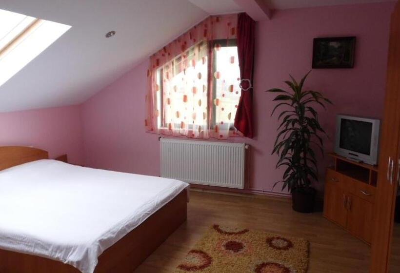 غرفة قياسية رباعية حمام مشترك, Casa Miruna