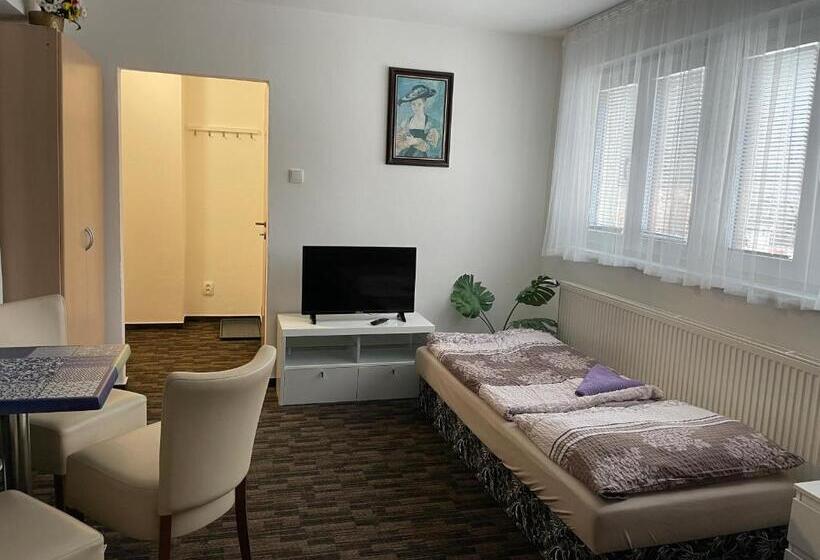 Номер Стандарт Трехместный, četnická Stanice Hluboká