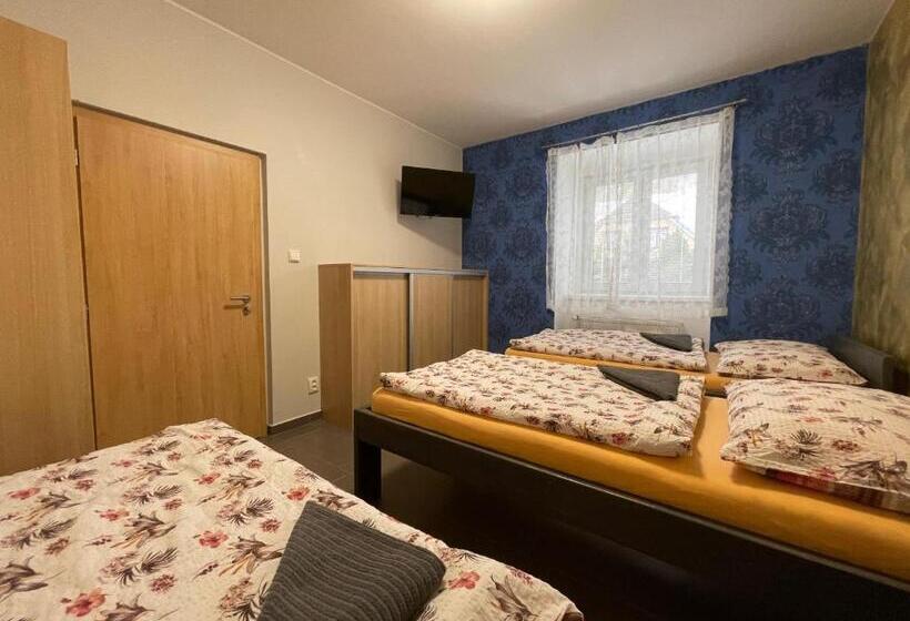 Апартаменты 1 Спальня Нижний Этаж, četnická Stanice Hluboká