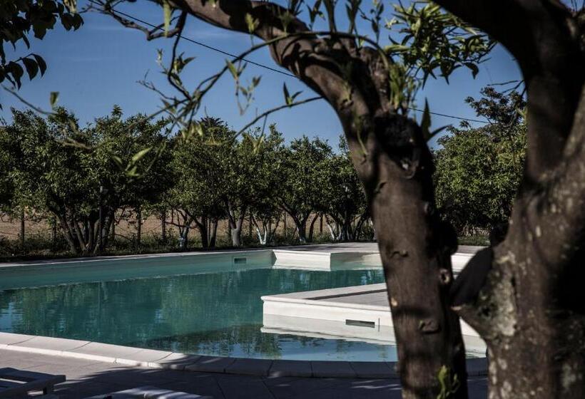 Четырехместный Номер Стандарт, Agriturismo Aurea