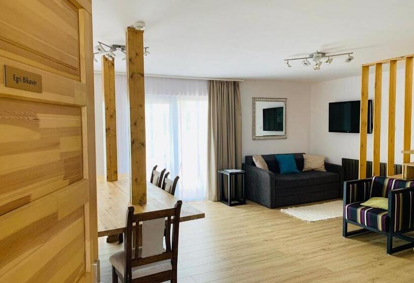 Апартаменты 1 Спальня с Террасой, Egria Apartments