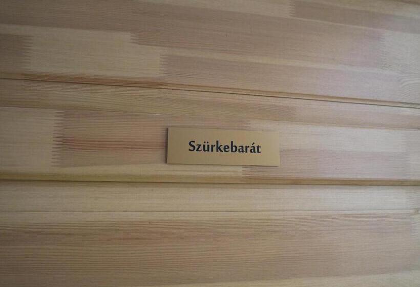 استودیو استاندارد با بالکن, Egria Apartments