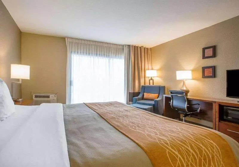اتاق استاندارد با تخت بزرگ, Avisa Downtown