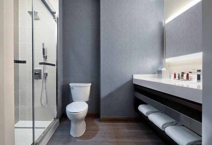 غرفه قياسيه سريرين مزدوجين, Dallas/plano Marriott At Legacy Town Center