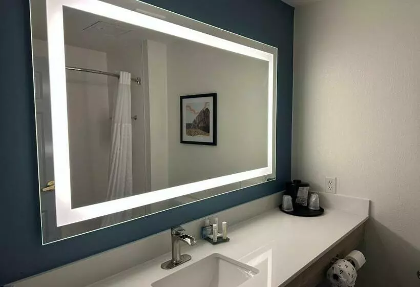 سوئیت با تخت بزرگ, La Quinta By Wyndham Albuquerque Midtown Newly Renovated
