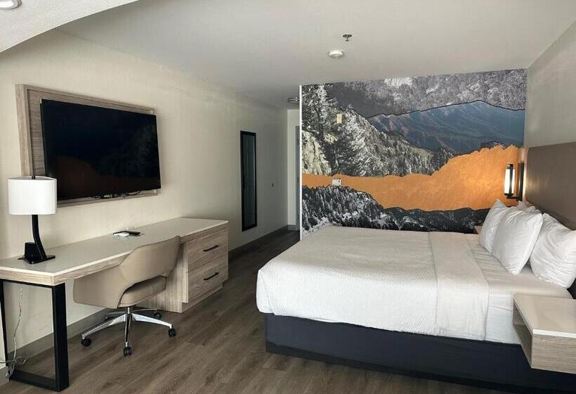 Люкс Кровать Кинг, La Quinta By Wyndham Albuquerque Midtown Newly Renovated