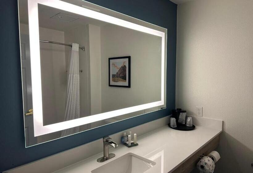 غرفة قياسية لذوى الاحتياجات الخاصة, La Quinta By Wyndham Albuquerque Midtown Newly Renovated