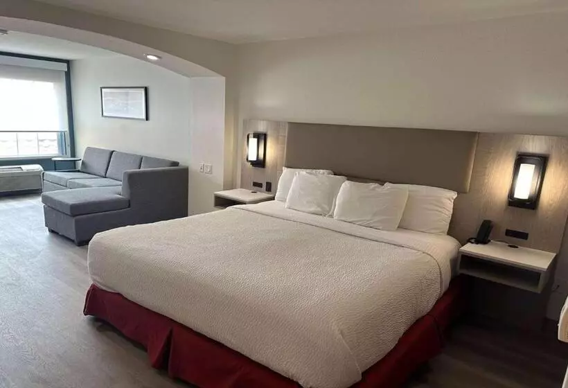 اتاق استاندارد برای معلولان, La Quinta By Wyndham Albuquerque Midtown Newly Renovated