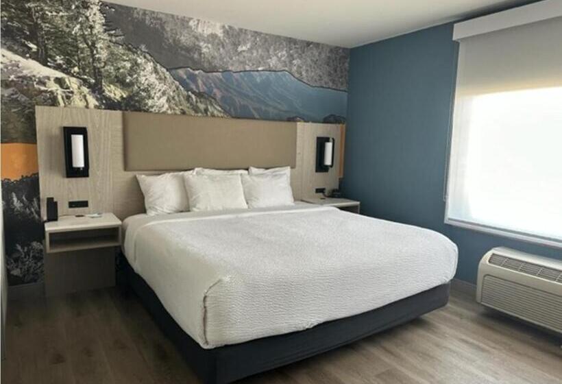 جناح سرير كينج, La Quinta By Wyndham Albuquerque Midtown Newly Renovated