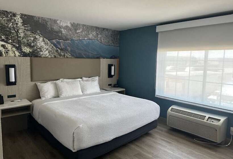 جناح سرير كينج, La Quinta By Wyndham Albuquerque Midtown Newly Renovated