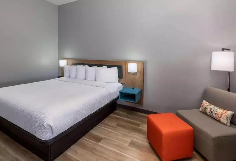 身障者適用キングサイズベッドルーム, La Quinta By Wyndham New Braunfels