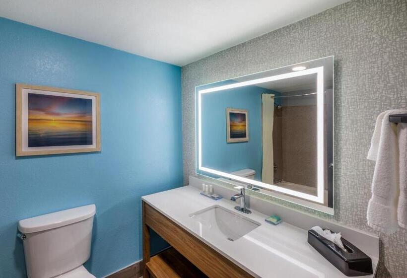 Люкс Кровать Кинг, La Quinta By Wyndham New Braunfels
