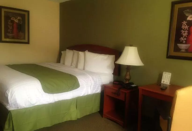 スイート, Quality Inn & Suites Prestonsburg Next To Mountain Arts Center