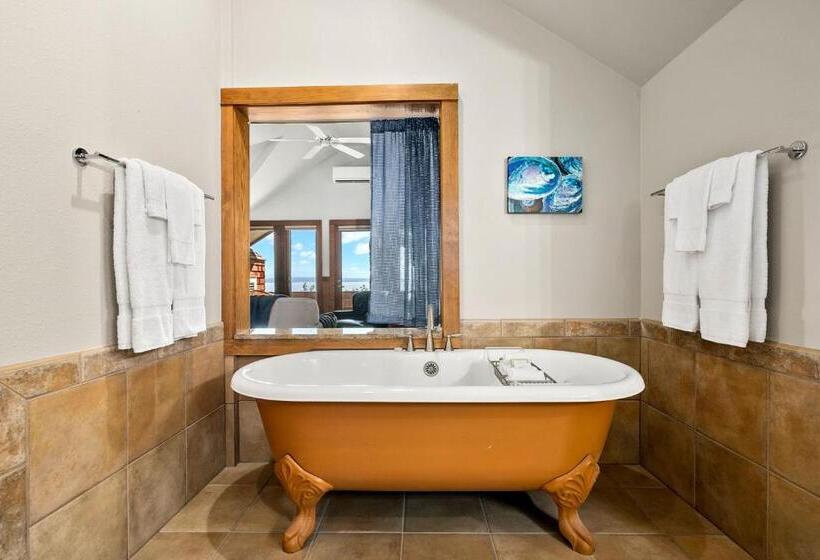 1间卧室的房子, Saratoga Inn