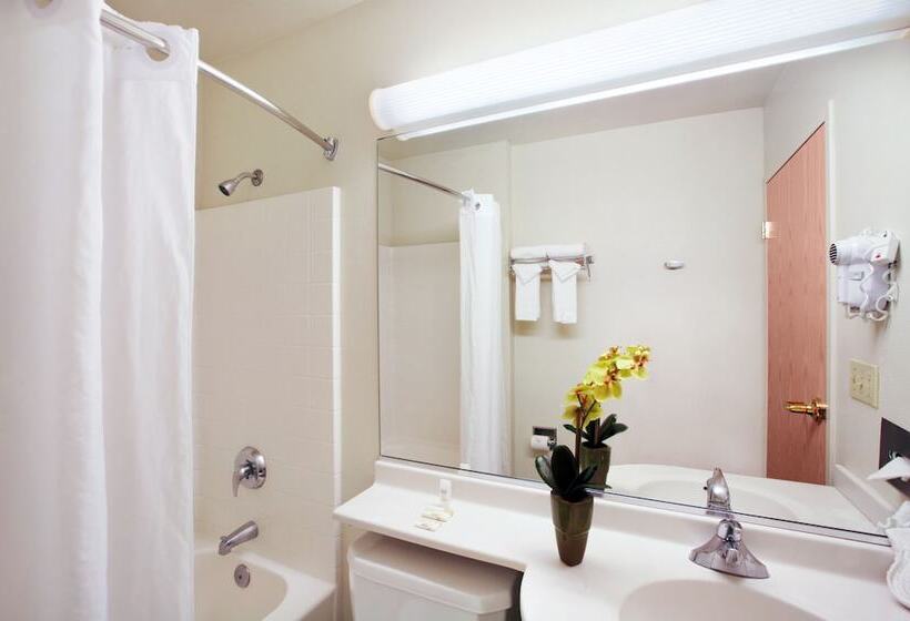 جناح, Microtel Inn & Suites Modesto