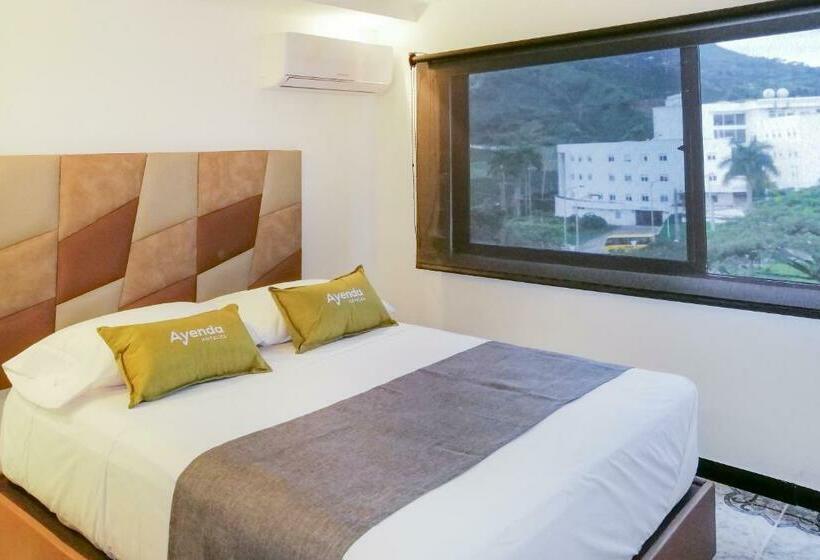 スタンダードルーム, Go Pereira