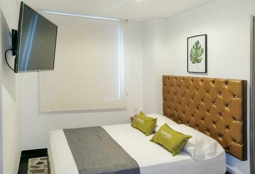 スタンダードルーム, Go Pereira