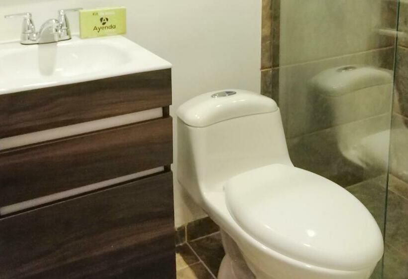 スタンダードルーム, Go Pereira