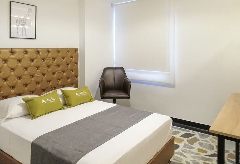 スタンダードルーム, Go Pereira