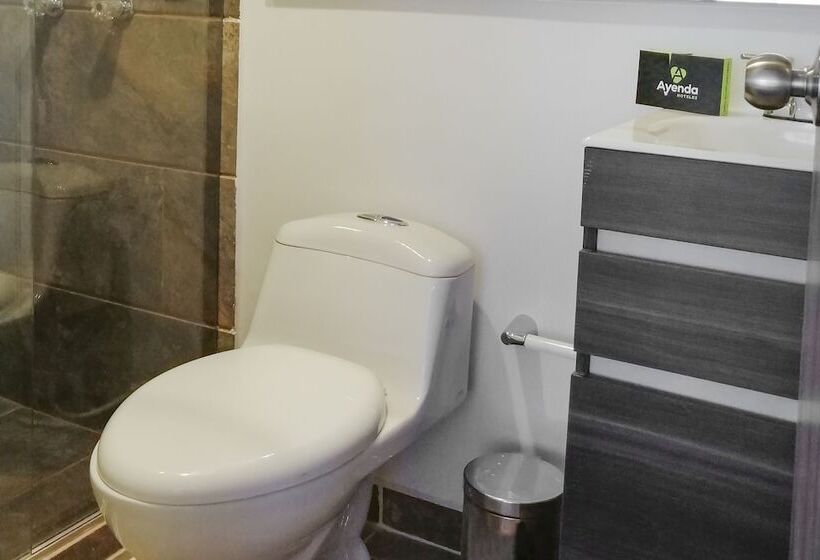 スタンダードルーム, Go Pereira