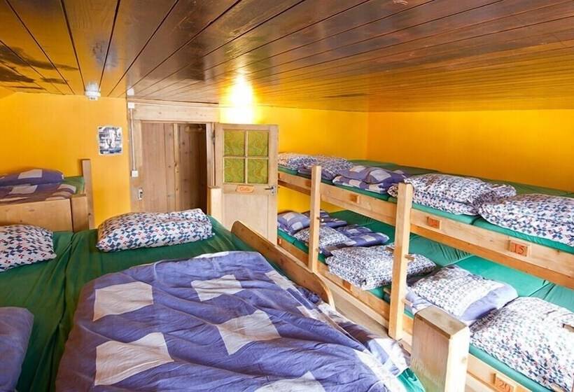Кровать в Общей Комнате, Mountain Hostel Gimmelwald