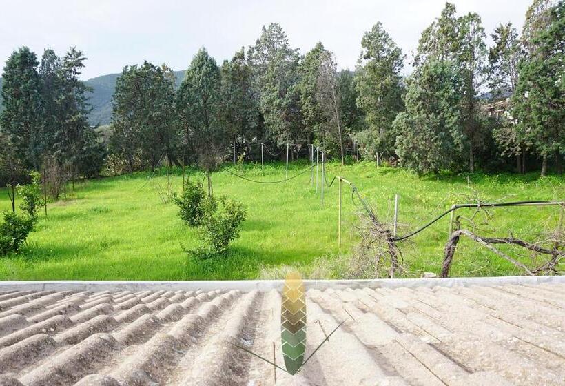 חדר סטנדרט עם טרסה, Art Villa Del Poggio