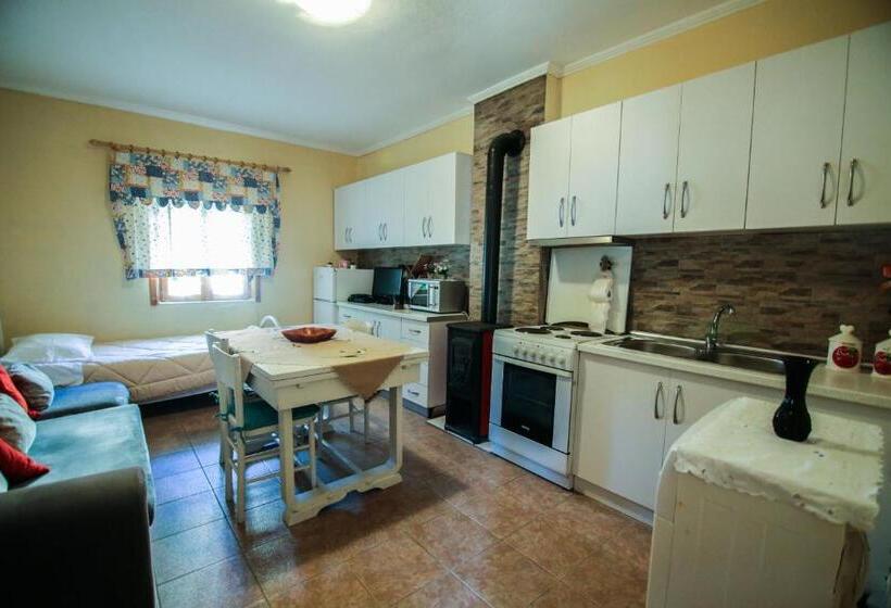 شقة غرفتين, Bujtina Leon's Apartments