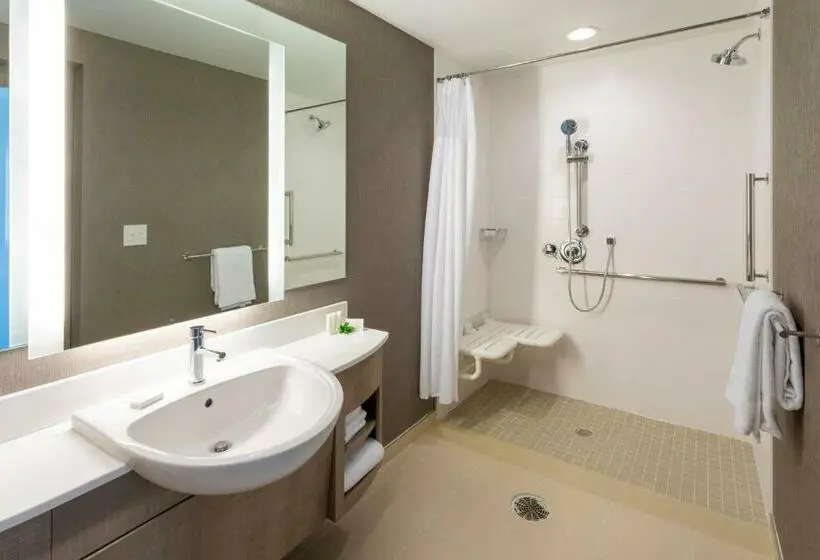 キングサイズベッドのスイートルーム, Springhill Suites Minneapolis Maple Grove/arbor Lakes