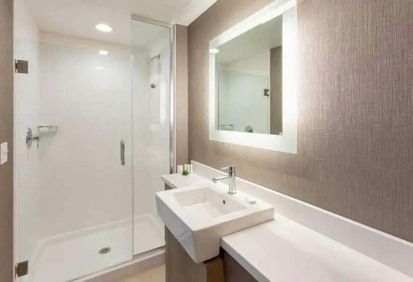 キングサイズベッドのスイートルーム, Springhill Suites Minneapolis Maple Grove/arbor Lakes