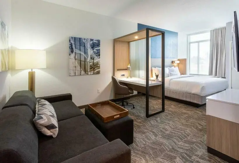 キングサイズベッドのスイートルーム, Springhill Suites Minneapolis Maple Grove/arbor Lakes