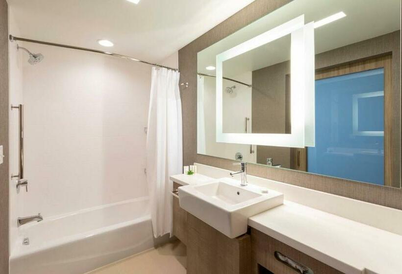 套房, Springhill Suites Minneapolis Maple Grove/arbor Lakes