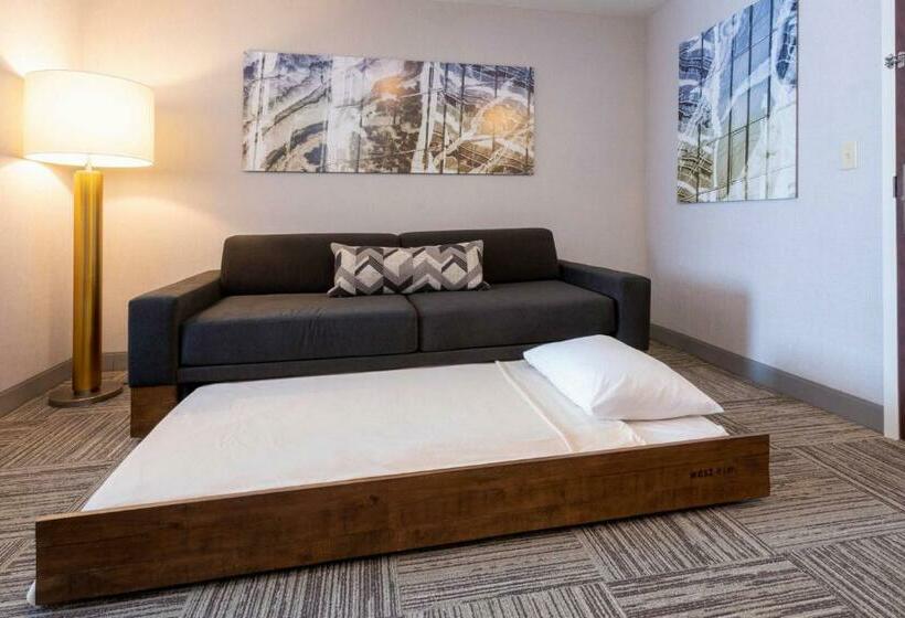 Люкс Адаптированный для Инвалидов, Springhill Suites Minneapolis Maple Grove/arbor Lakes